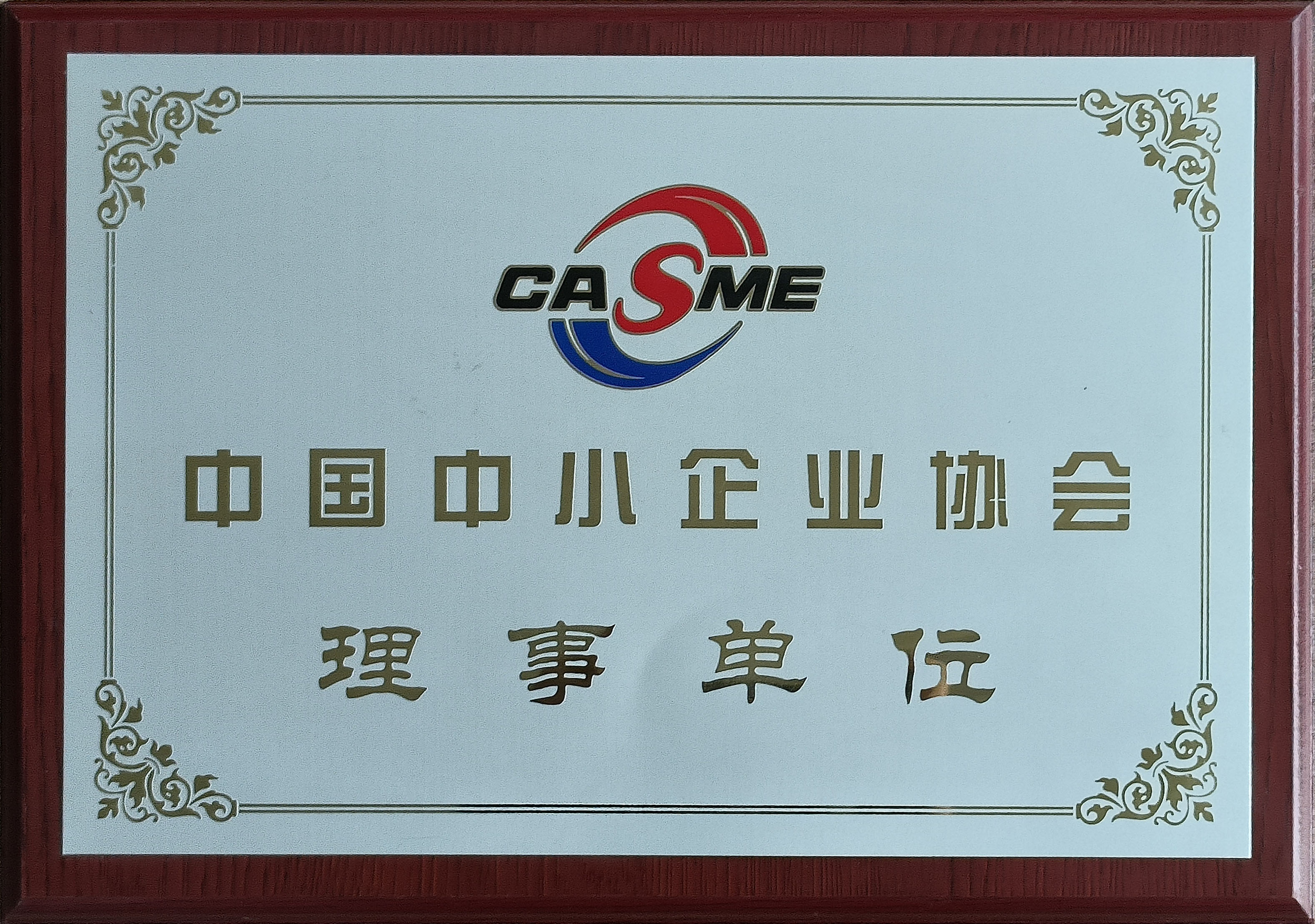 9中國(guó)中小(xiǎo)企業(yè)協會(huì)-理(lǐ)事(shì)單位